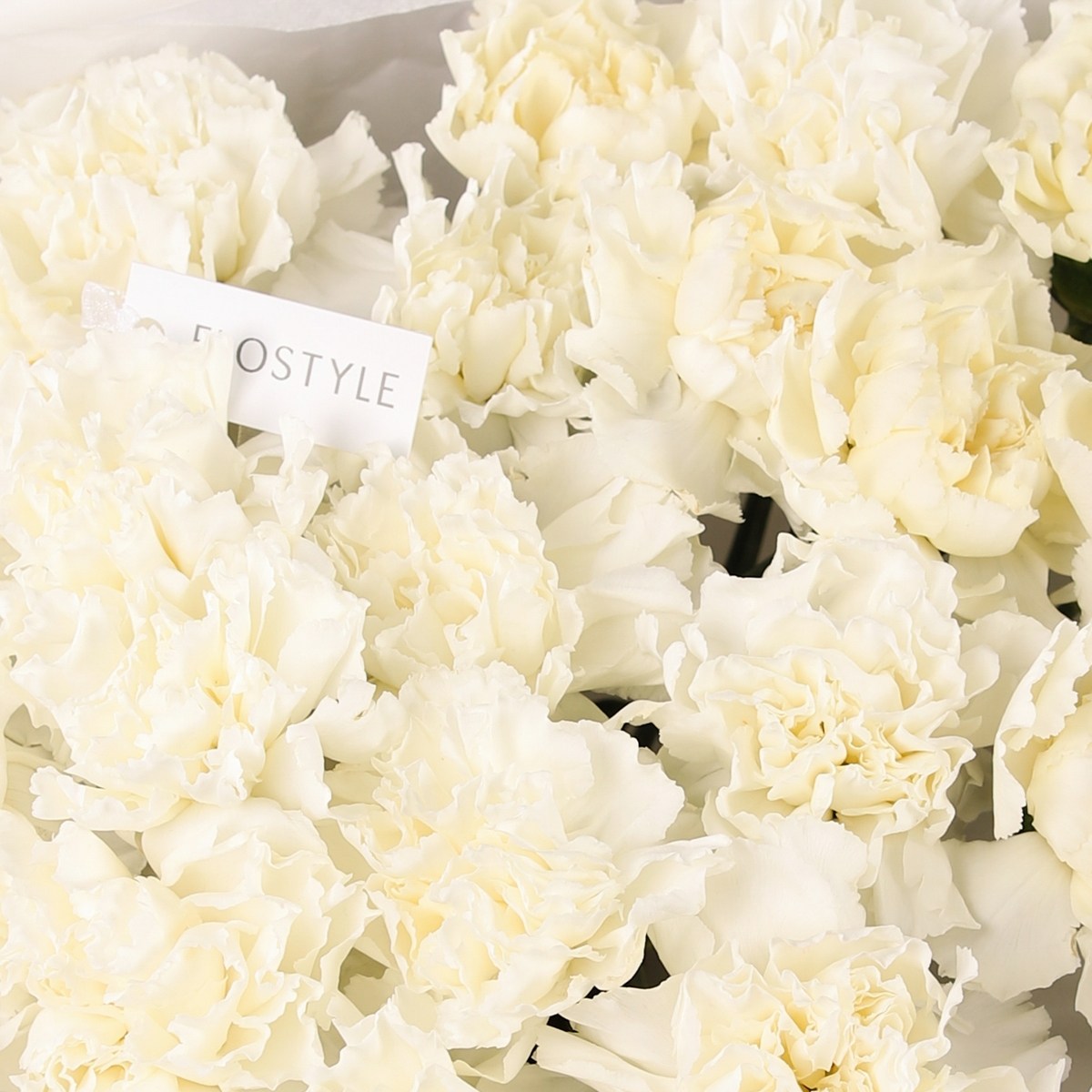 belye diantusy buket 7